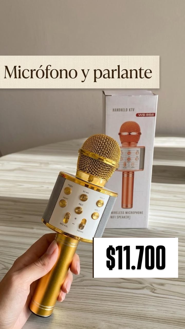Micrófono y parlante inalámbrico KTV