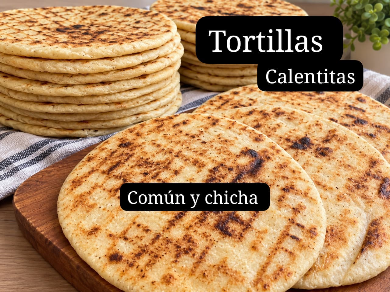 Tortillas Calentitas