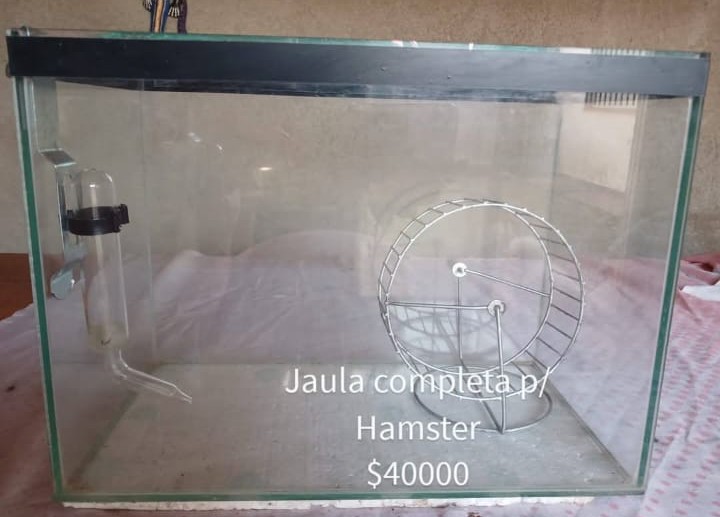 Jaula para hámster
