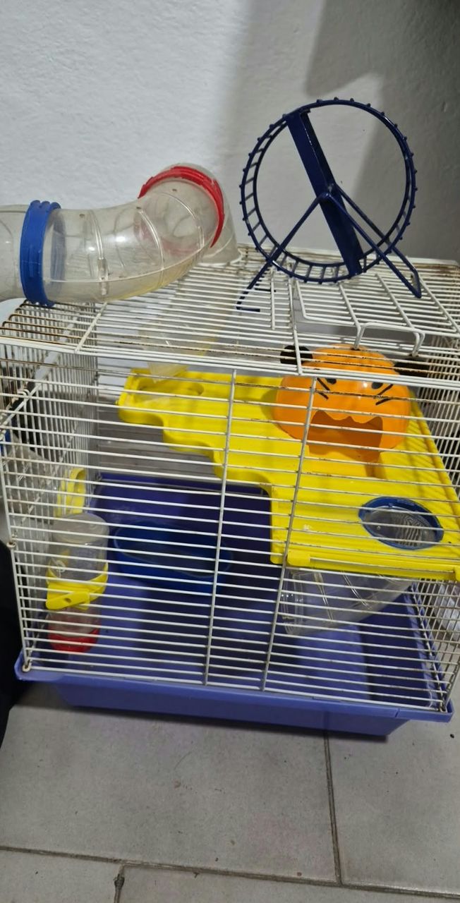 VENDO‼️ jaula para hamster con ruedita y bebedero.  *$40.000*
